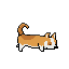 Sniff walk