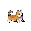 Walk